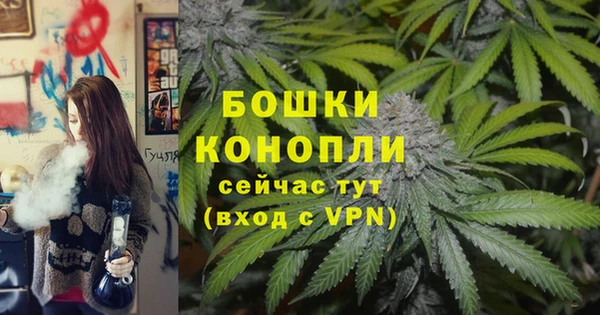 ГАЛЛЮЦИНОГЕННЫЕ ГРИБЫ Новодвинск