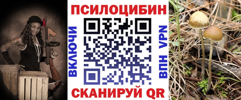 ссылка на мегу как войти  Отрадный  Псилоцибиновые грибы Cubensis 